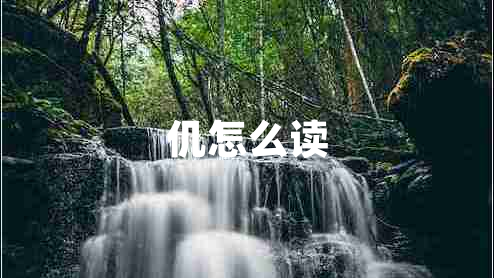 仉怎么讀