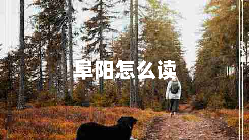 阜陽(yáng)怎么讀