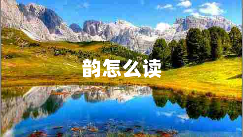 韻怎么讀