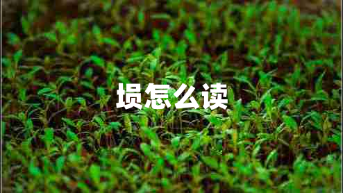 塤怎么讀