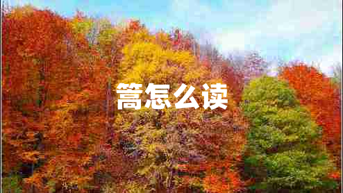 篙怎么讀