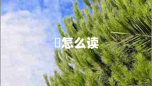 炘怎么讀