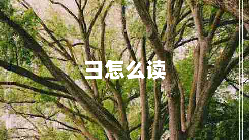 彐怎么讀