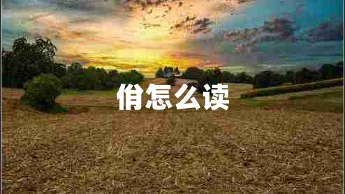 佾怎么讀