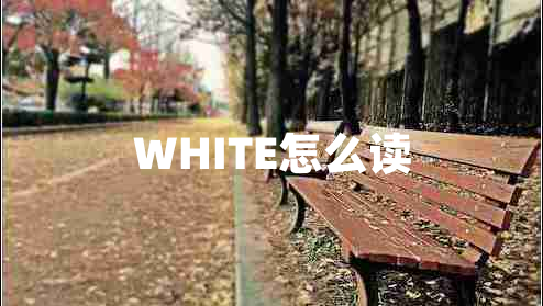 WHITE怎么讀