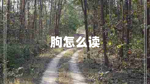 朐怎么讀
