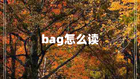 bag怎么讀