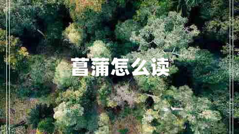 菖蒲怎么讀
