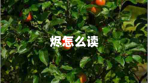 燼怎么讀