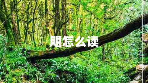 颶怎么讀