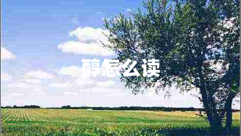 醇怎么讀