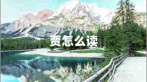 賈怎么讀