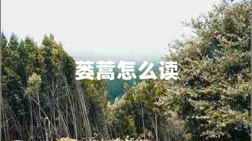 蔞蒿怎么讀