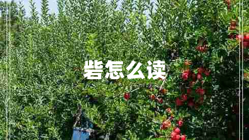 砦怎么讀