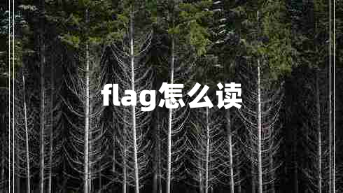 flag怎么讀