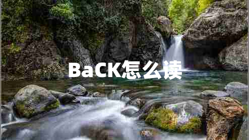 BaCK怎么讀