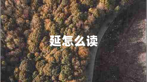 延怎么讀