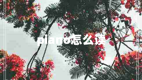 piano怎么讀