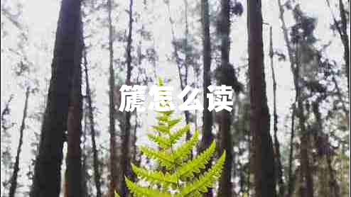 篪怎么讀