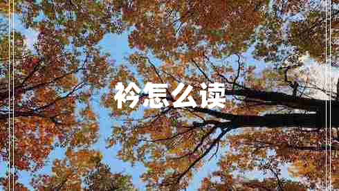 衿怎么讀
