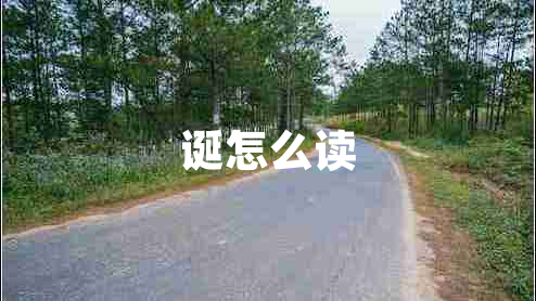 誕怎么讀