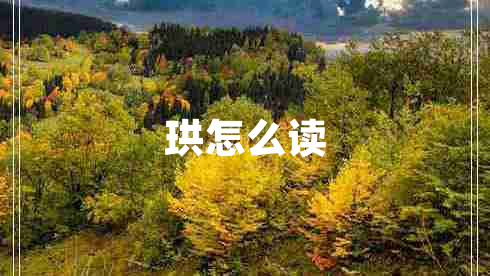 珙怎么讀