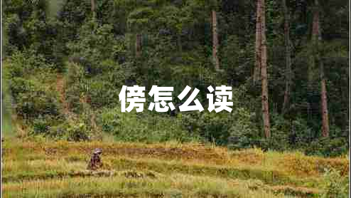 傍怎么讀