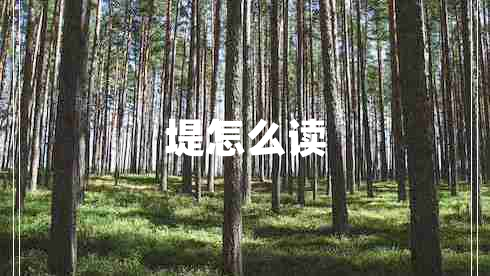 堤怎么讀