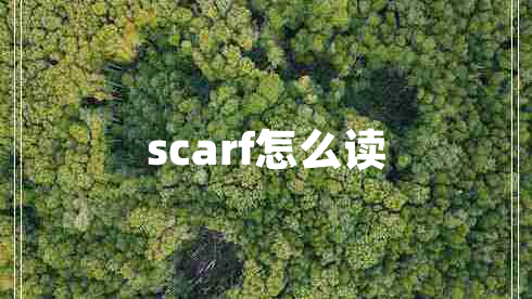 scarf怎么讀