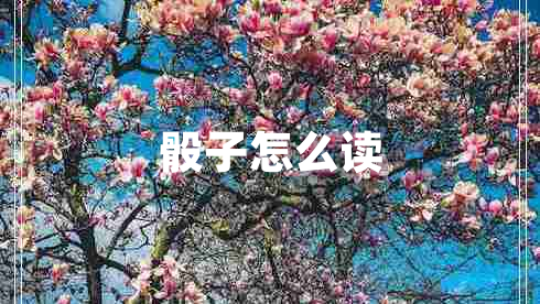 骰子怎么讀