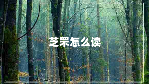 芝罘怎么讀