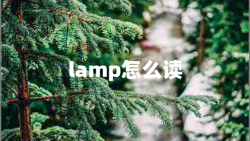lamp怎么讀