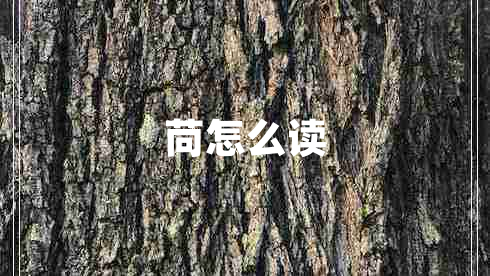 苘怎么讀