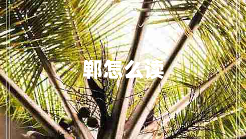 鄲怎么讀