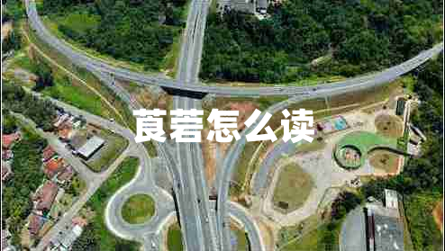 莨菪怎么讀