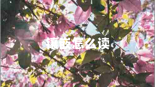 鑲嵌怎么讀