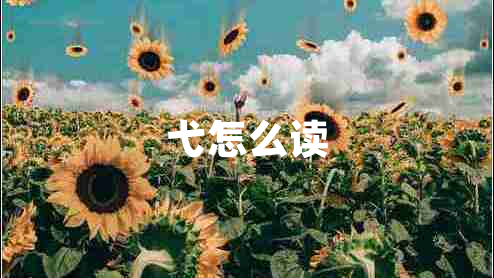 弋怎么讀