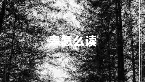 睪怎么讀