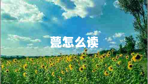 甍怎么讀