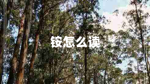 銨怎么讀