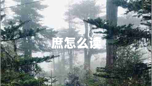 庶怎么讀