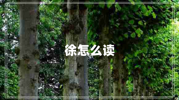 徐怎么讀