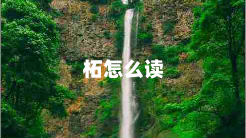 柘怎么讀