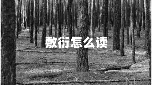 敷衍怎么讀