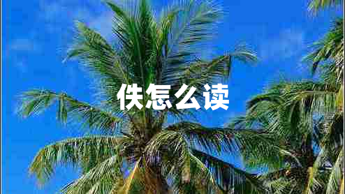佚怎么讀
