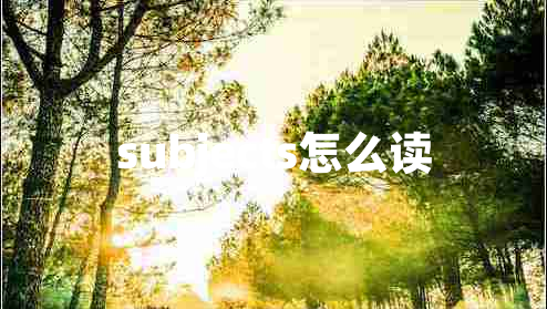 subjects怎么讀