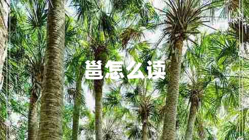 邕怎么讀