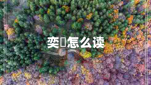 奕詝怎么讀