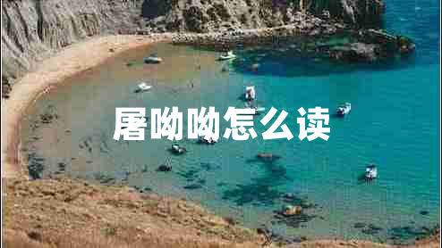 屠呦呦怎么讀