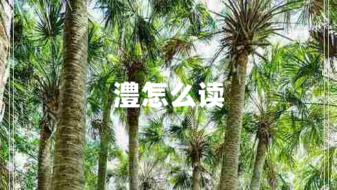 澧怎么讀